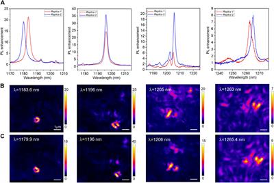 High spatial resolution imaging of light localization in hyperuniform disordered patterns of circular air pores in a dielectric slab